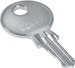 Key for enclosure Other 7999500