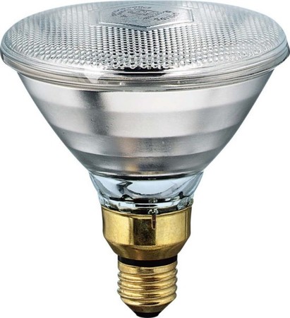 Incandescent lamp with reflector 100 W 240 V E27 12893515