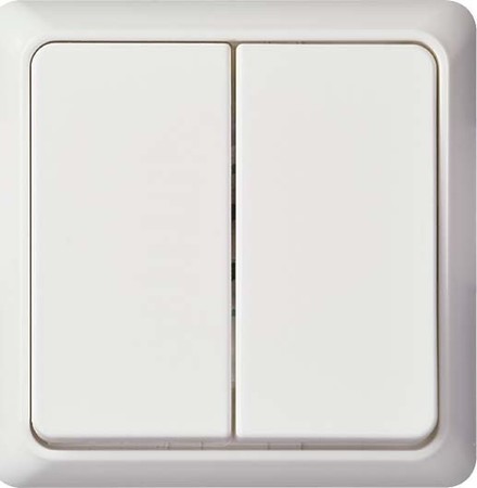 Switch Series switch Rocker/button 241504