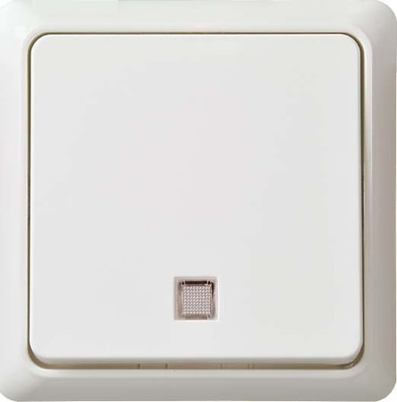 Switch Alternating-/alternating switch Rocker/button 241624