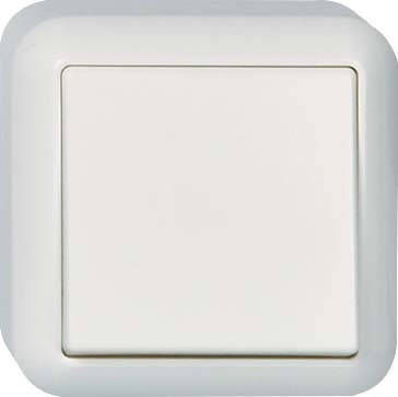 Switch Intermediate switch Rocker/button 381702
