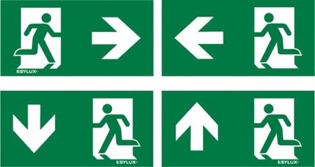 Pictogram for emergency luminaire Sticker EN10077524