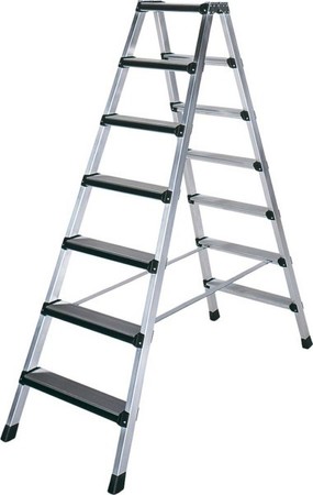 Ladder 1.22 m 5 Aluminium 48105