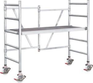 Scaffold  50625