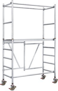 Scaffold  50636