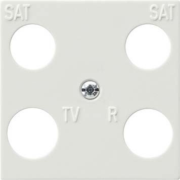 Insert/cover for communication technology Control element 025840