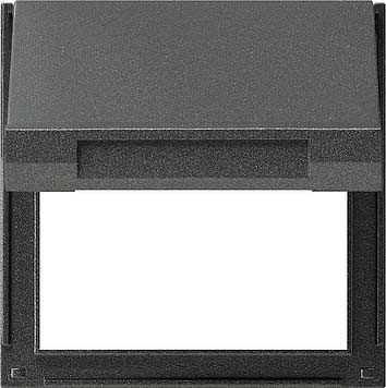 Insert/cover for communication technology Control element 065467