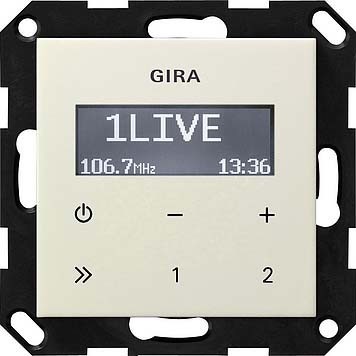 Electronic insert for domestic switching devices  228401