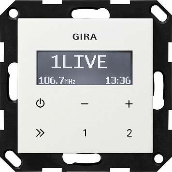 Electronic insert for domestic switching devices  228403