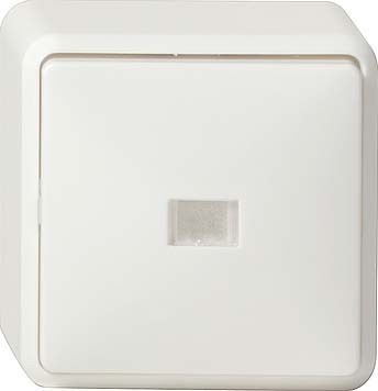 Switch Two-way switch Rocker/button 011613