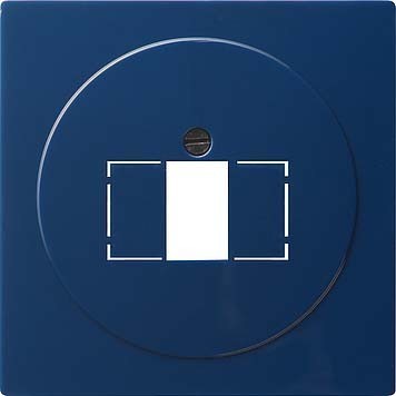 Insert/cover for communication technology Control element 027646