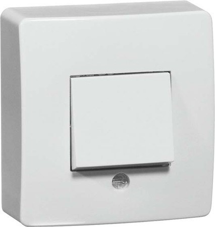 Switch Two-way switch Rocker/button 00250621