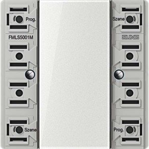 Transmitter/Remote control for domestic switching devices  FMLS5