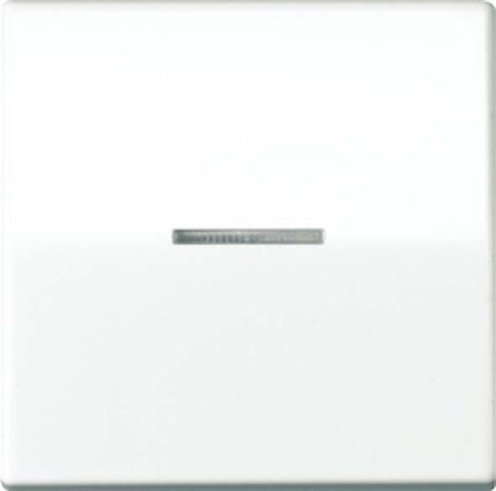 Cover plate for switches/push buttons/dimmers/venetian blind  AS