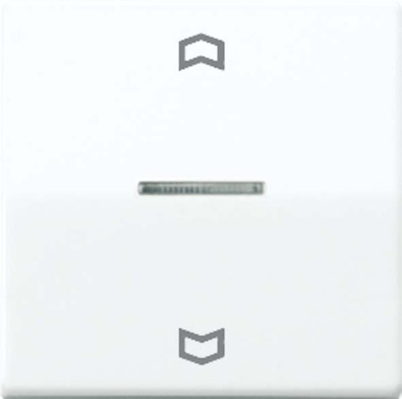 Cover plate for switches/push buttons/dimmers/venetian blind  AS
