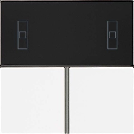 Cover plate for switches/push buttons/dimmers/venetian blind  LS