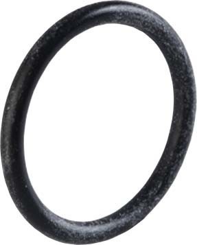 Sealing ring O-ring 55 mm 1000.48.00.08