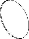 Sealing ring Other 20.5 mm 38810