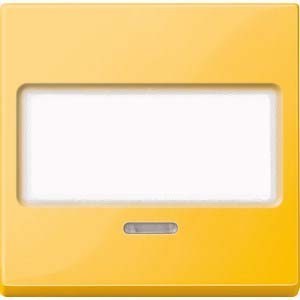 Cover plate for switches/push buttons/dimmers/venetian blind  ME