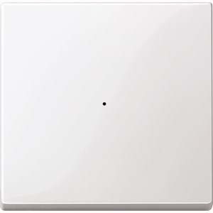 Cover plate for switches/push buttons/dimmers/venetian blind  ME