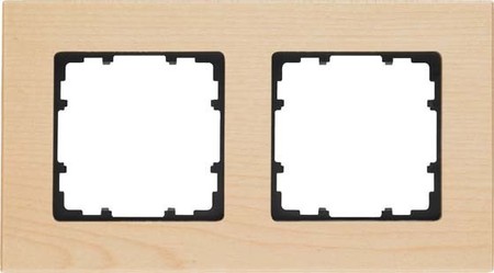 Cover frame for domestic switching devices 2 2 5TG11023