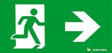 Pictogram for emergency luminaire  22166894