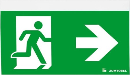 Pictogram for emergency luminaire  22168680