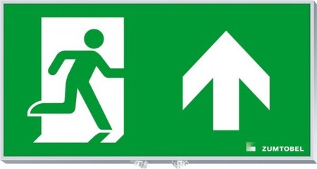 Pictogram for emergency luminaire  22900411