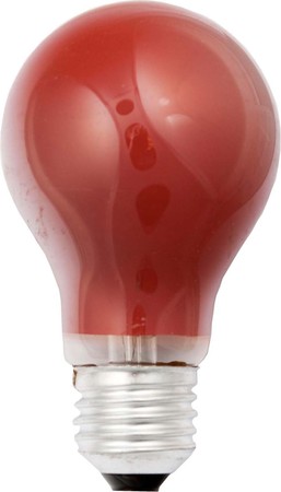 Standard-shaped incandescent lamp 15 W 230 V 40240