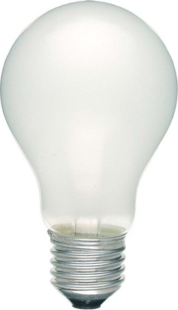 Standard-shaped incandescent lamp 100 W 24 V 48354