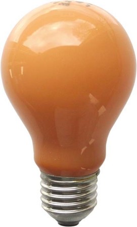 Standard-shaped incandescent lamp 60 W 230 V 40964