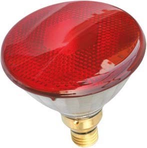 Incandescent lamp with reflector 80 W 230 V E27 41631