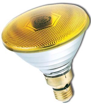 Incandescent lamp with reflector 80 W 230 V E27 41632