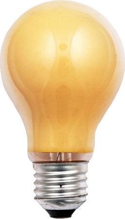 Standard-shaped incandescent lamp 25 W 230 V 40247