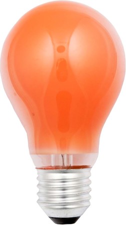 Standard-shaped incandescent lamp 25 W 230 V 40249