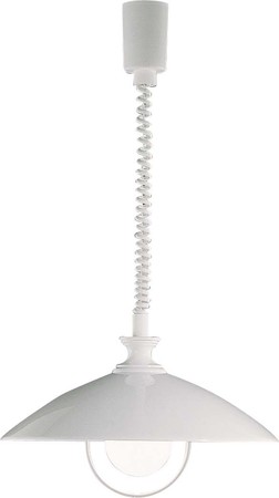 Pendant luminaire Other Incandescent lamp E27 11066