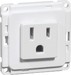 Socket outlet NEMA 1 00602511