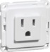 Socket outlet NEMA 1 00617511