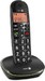 Cordless telephone Analogue DECT 100 h 380099