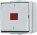 Switch 2-pole switch Rocker/button 602KOW