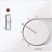 Room temperature controller Flush mounted (plaster) 534825