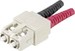 Fibre optic connector Plug Other J88080A0006