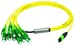 Fibre optic patch cord  L00831A0030