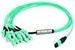 Fibre optic patch cord  L00832A0026