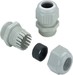 Cable screw gland  1568980000