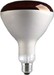 Incandescent lamp with reflector 250 W 230 V E27 29509