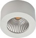 Surface mounted ceiling- and wall luminaire LED P31 0301