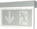 Emergency luminaire Surface mounting/recessed mounting LED 54102