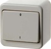 Switch 2-pole switch Rocker/button 300240
