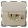 Socket outlet NEMA 1 4203